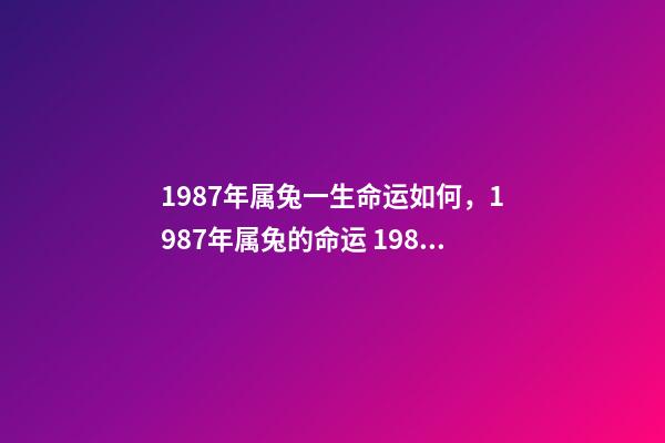 1987年属兔一生命运如何，1987年属兔的命运 1987年属兔是什么命